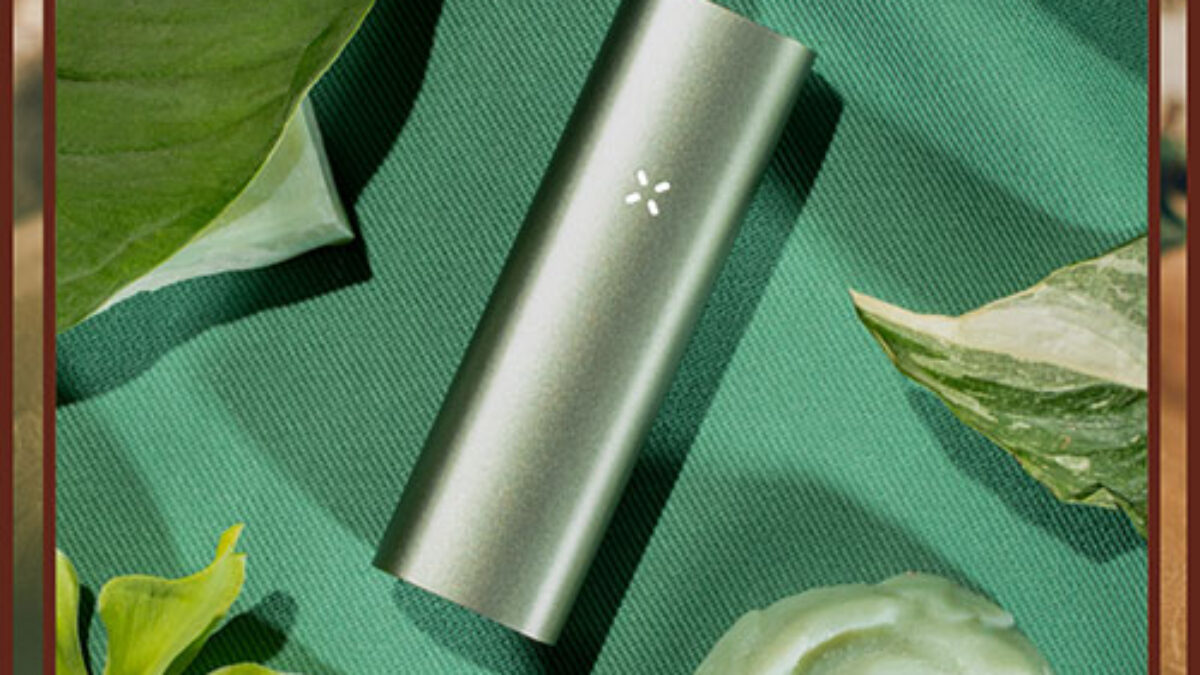 Pax 3 Complete Kit Salbei