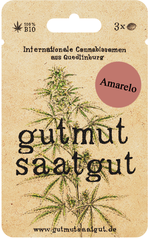 Amarelo Cannabis Samen Kaufen