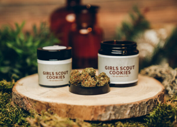 Girls Scout Cookies Cbd Aromablüten Kaufen