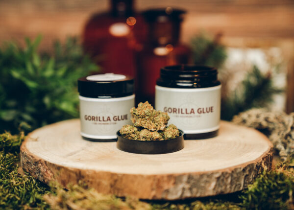 Gorilla Glue CBD Aromablüten kaufen
