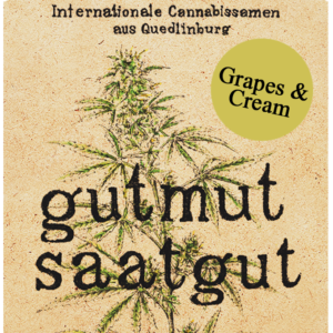 Grapes & Cream Cannabis Samen kaufen