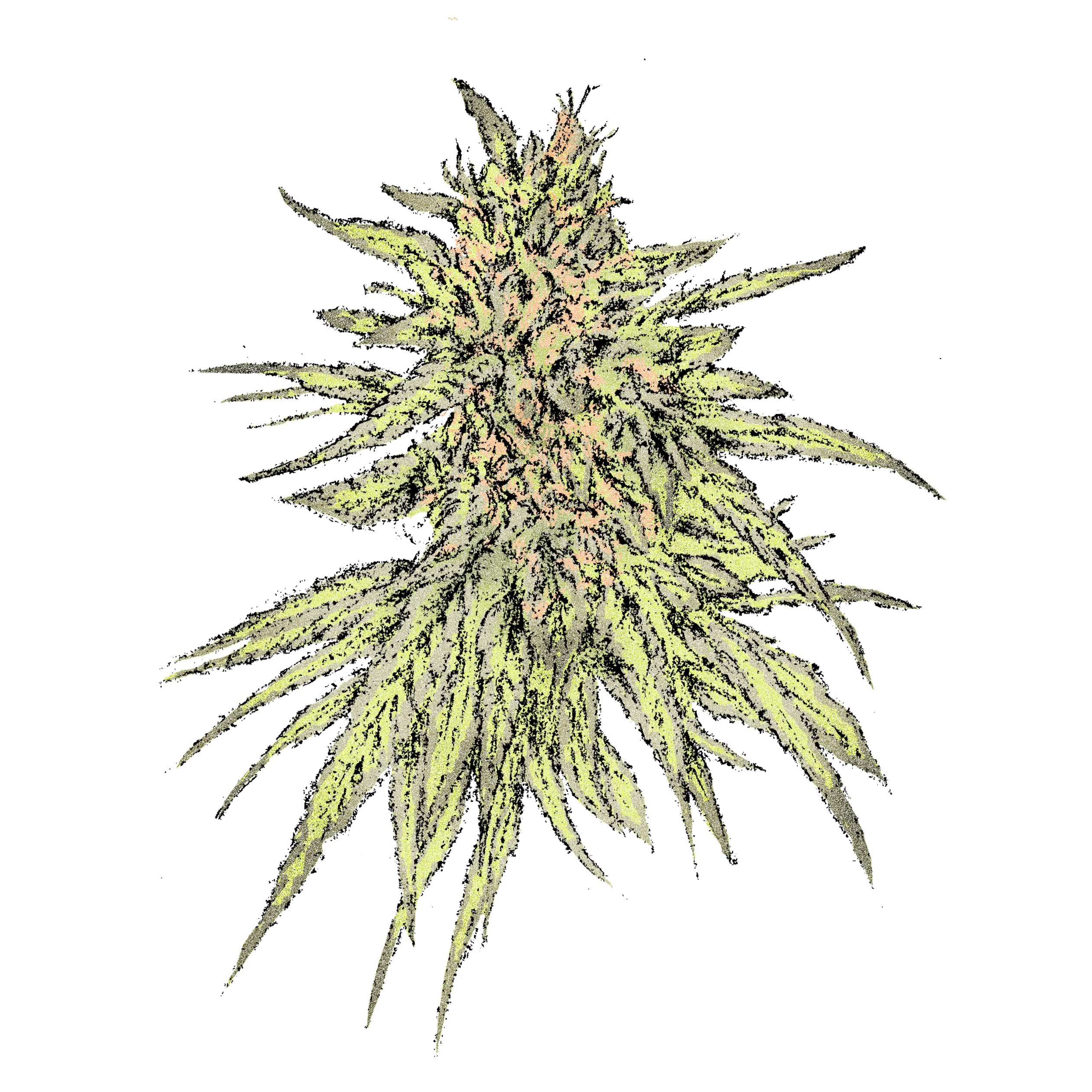 Lip L.i.p. Cbd (Fast)