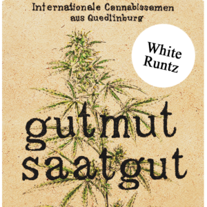 White Runtz Cannabis Samen kaufen