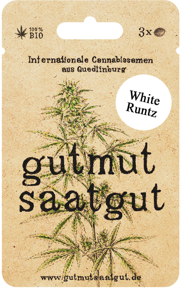 White Runtz Cannabis Samen Kaufen