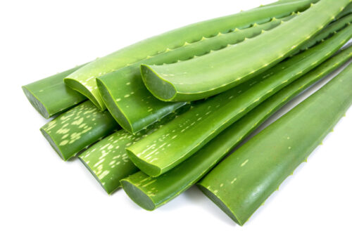 Aloe Vera Sonnenbrand