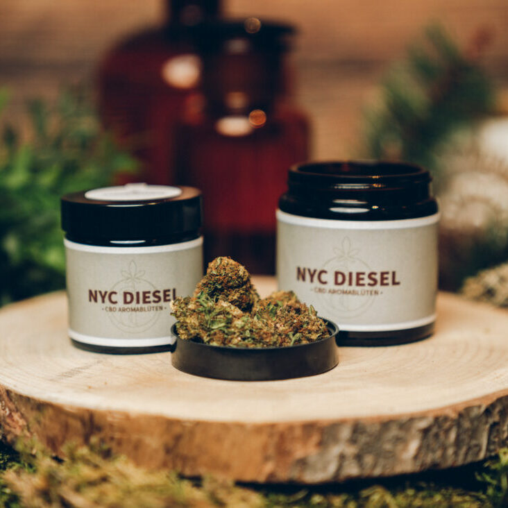 NYC Diesel CBD Aromablüten kaufen
