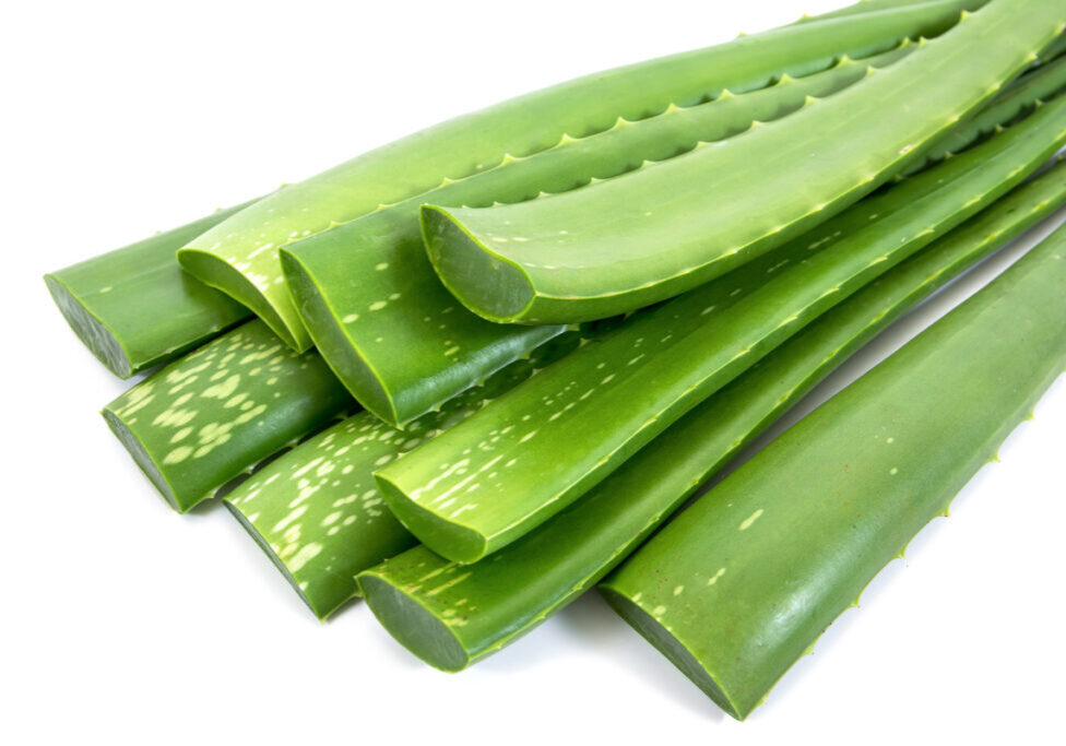 Aloe Vera Sonnenbrand