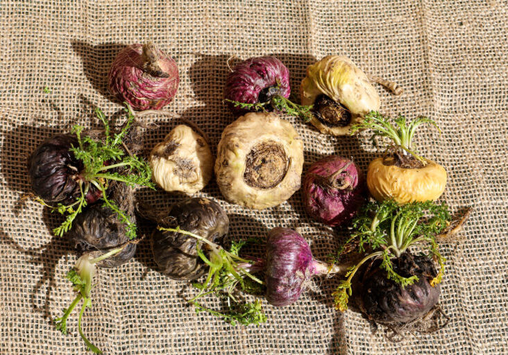 Maca-Wirkung-Frauen-Maenner Maca Wirkung Für Frauen Und Männer