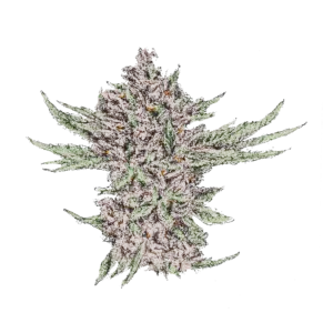 Grapes & cream