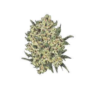 Lemon Amnesia (Auto)
