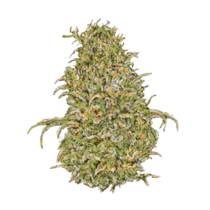 Sour Diesel