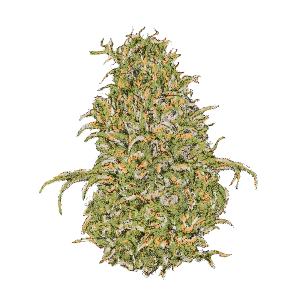 Sour Diesel